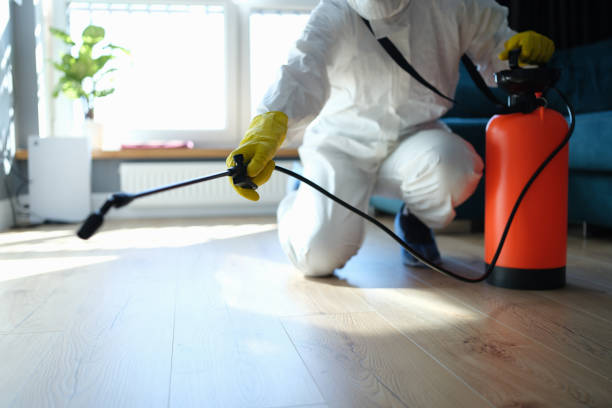 Reliable Biohazard contractor in Black Diamond, FL by Crime Scene Cleaner Online